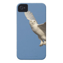 Snowy Owl iPhone 4 Case