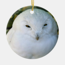 Snowy Owl Ornament