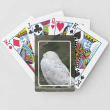 Snowy Owl Playing Cards