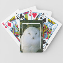 Snowy Owl Playing Cards