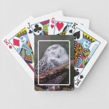 Snowy Owl Playing Cards
