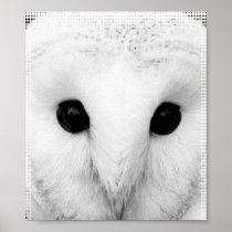 Snowy Owl Poster