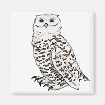 Snowy Owl Refrigerator Magnets