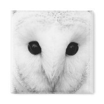 Snowy Owl Square Magnet