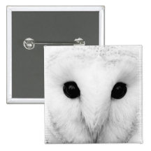 Snowy Owl Square Pin