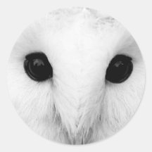 Snowy Owl Stickers