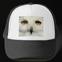 Snowy Owl hats