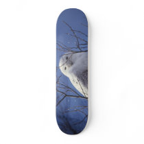Snowy Owl - White Bird against a Sapphire Blue Sky
