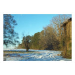 Snowy Path Photo Print