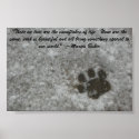 Snowy Paw Print
