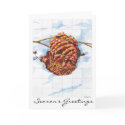 Snowy Pine Cone cards