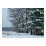 Snowy Pine Tree, Warm Winter Wishes Greeting Card