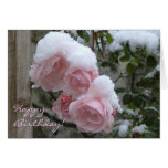 snowy pink rose, Happy Birthday! Cards
