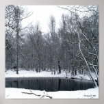 snowy Pond posters