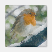 Snowy Robin Magnet