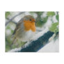 Snowy Robin Postcard