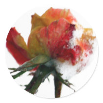 Snowy Rose Round Stickers