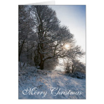 Snowy Scene Christmas Card