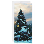 Snowy Sunset rack cards