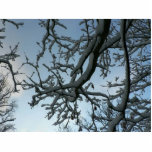 Snowy Tree Branch Photo Cutout