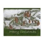 Snowy Tree with Pine Cones - Merry Christmas