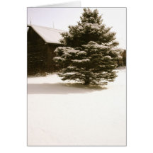Snowy Vermont Greeting Cards