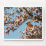 Snowy Waxwing Mousepads