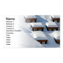 Snowy windows business cards