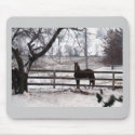 Snowy Winter Horse mousepads