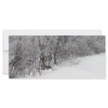 Snowy Woods Photo Bookmark rack cards