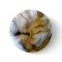 Snuggle Kittens Button