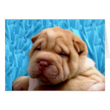 Snuggle Me Greeting Card