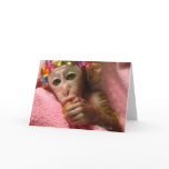 Snuggle Monkey cards
