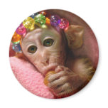 Snuggle Monkey magnets