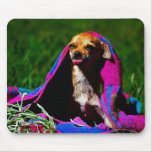 So cute after a swim mousepads