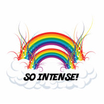 SO INTENSE DOUBLE RAINBOW