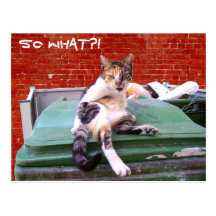 So what postcards