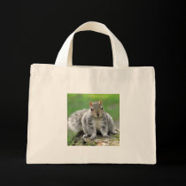 So you’re telling me I am a dog in a squirrel’s bo bags