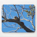 Soaking Up The Sun Squirrel, mousepad