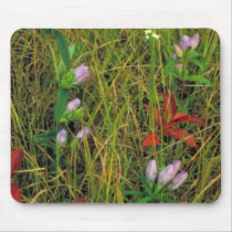 Soapwort gentian and Nodding ladies tresses Mouse Pads