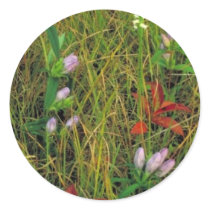 Soapwort gentian and Nodding ladies tresses Round Stickers