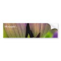 Soapwort gentian bumper stickers