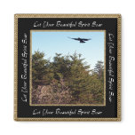 Soar Magnet