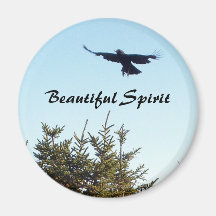 Soar Magnet