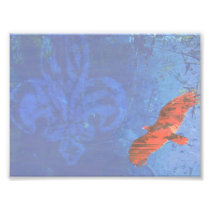 Soar Art Photo