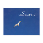 Soar Postcards