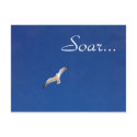 Soar postcards