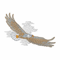 Soaring Eagle