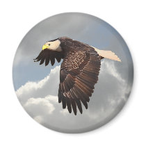 SOARING EAGLE REFRIGERATOR MAGNETS
