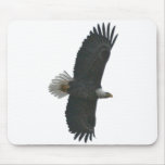 Soaring Eagle Mouse Mat